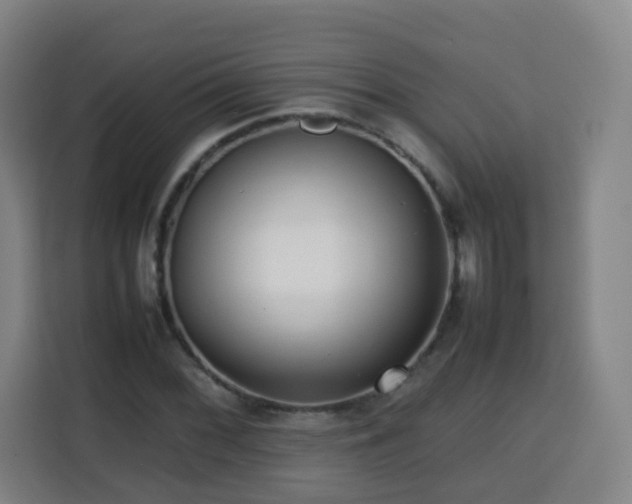 X0000113761068200909301105