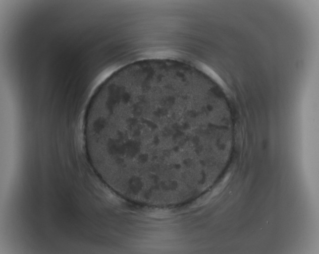 X0000113761071200909301105