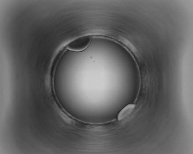 X0000113761072200909301105
