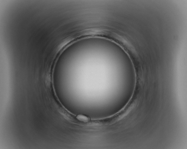 X0000113761073200909301105