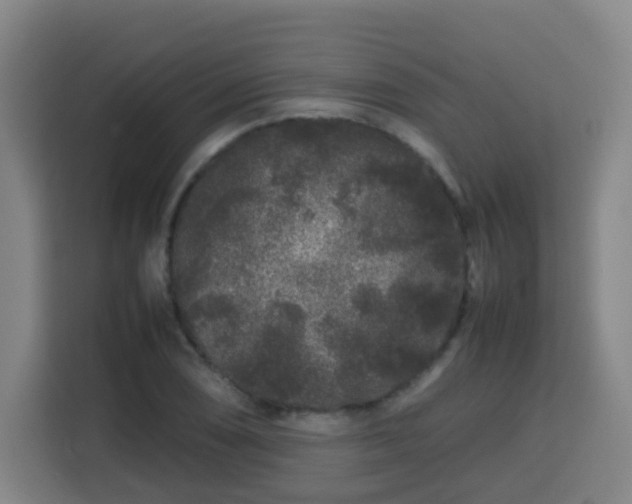 X0000113761074200909301105