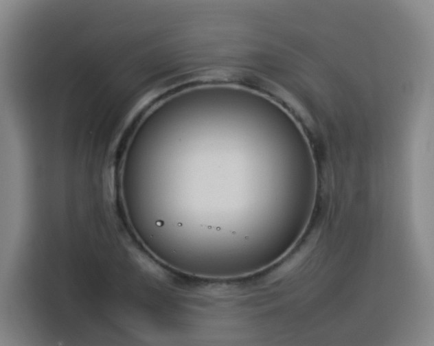 X0000113761075200909301105