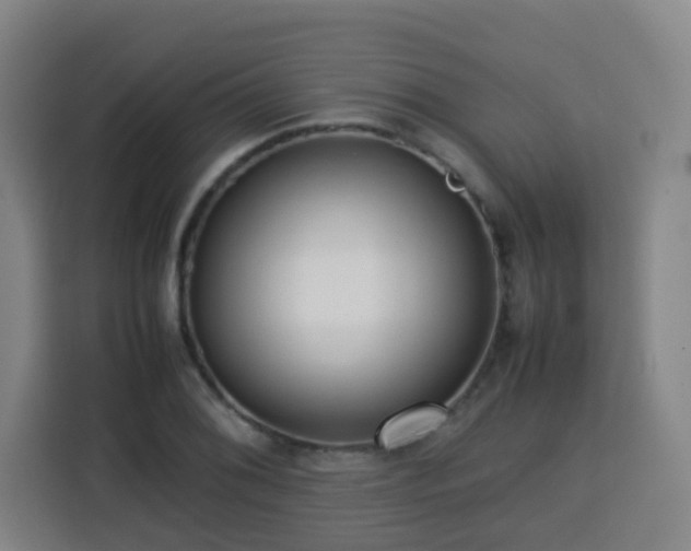 X0000113761076200909301105