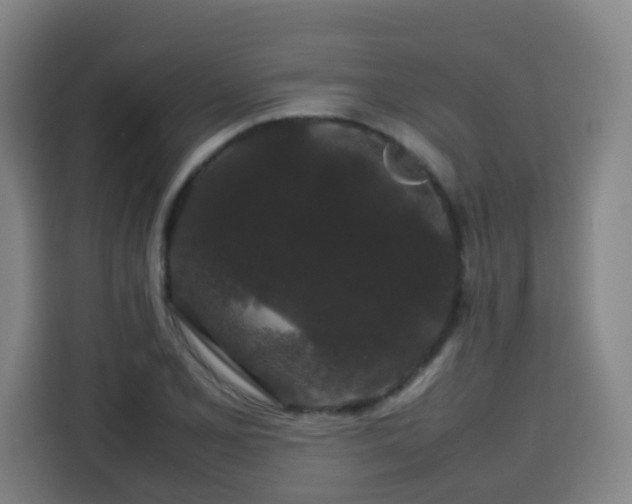 X0000113761077200909301105