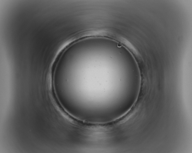 X0000113761079200909301105