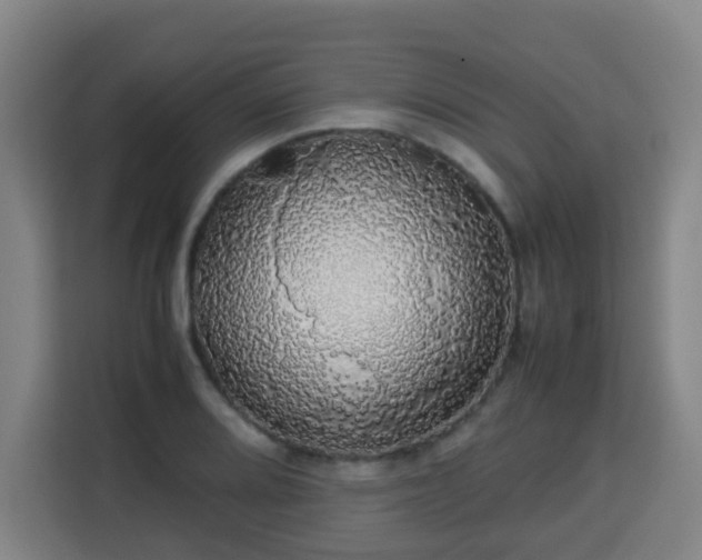X0000113761080200909301105
