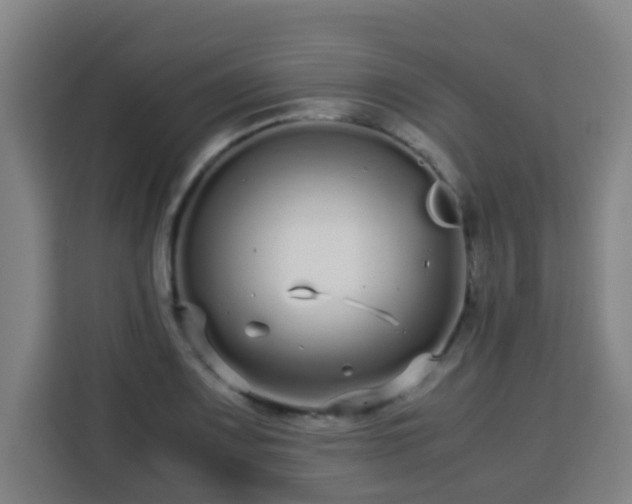 X0000113761083200909301104