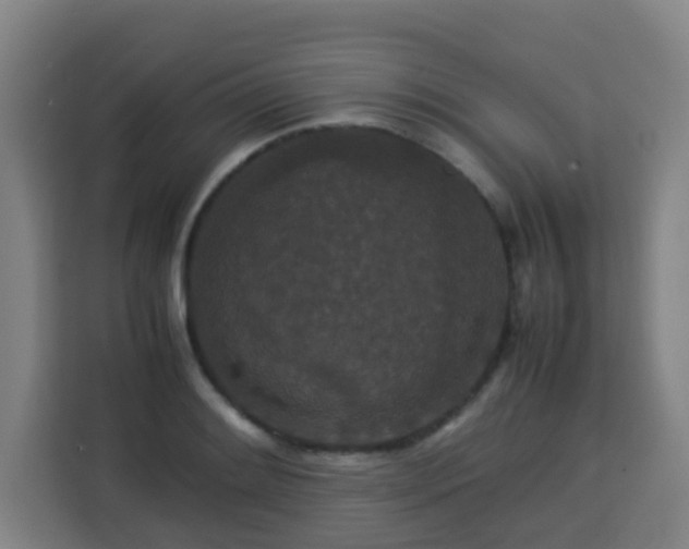 X0000113761084200909301104