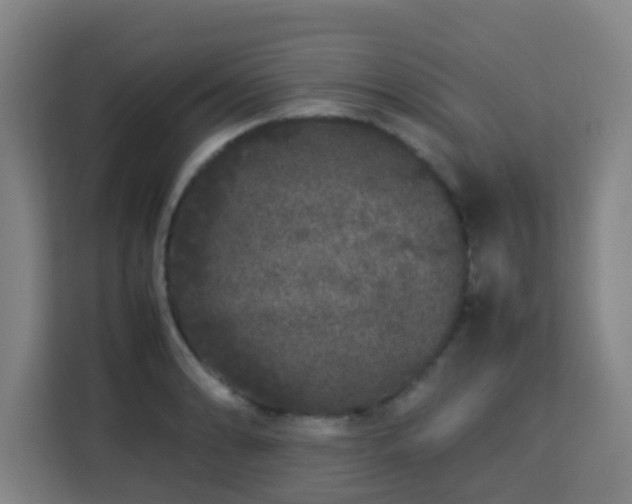 X0000113761086200909301104
