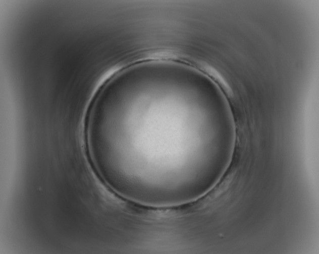 X0000113761087200909301104