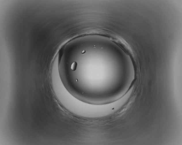 X0000113761089200909301104