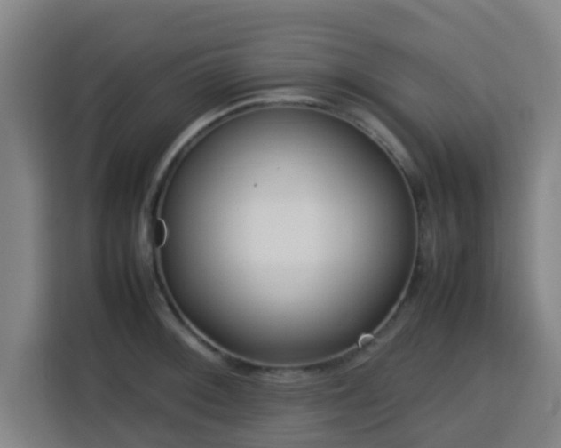 X0000113761092200909301104