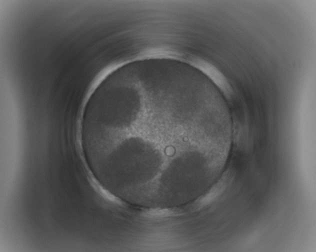 X0000113761094200909301104