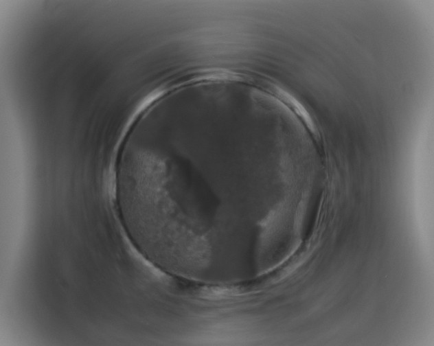 X0000113761095200909301104