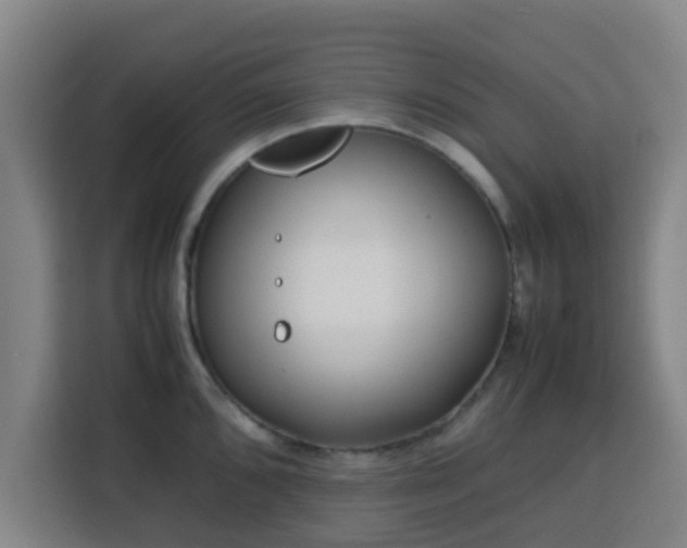 X0000113761096200909301104
