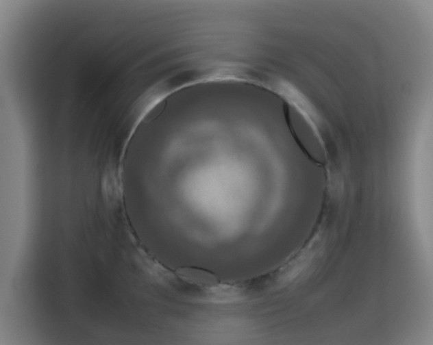 X0000113761097200909301104