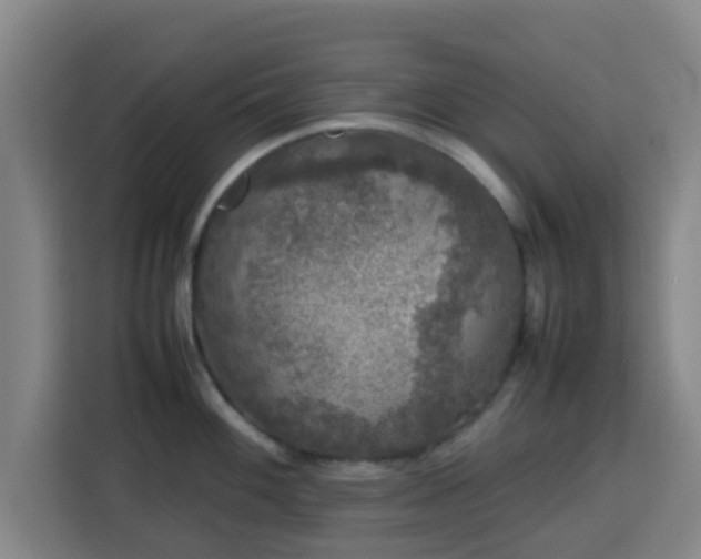 X0000113761100200909301104