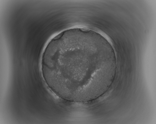 X0000113761104200909301104