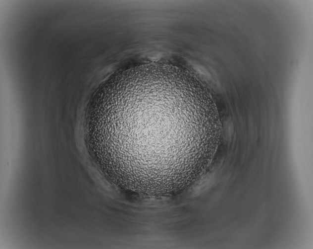 X0000113761105200909301104