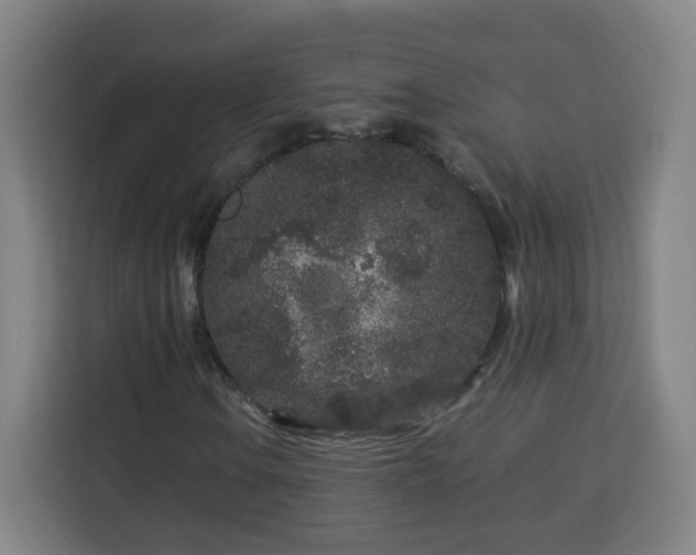 X0000113761106200909301104