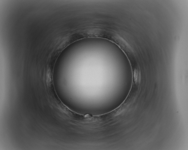 X0000113761107200909301104