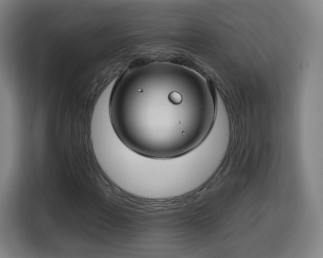 X0000113761108200909301104