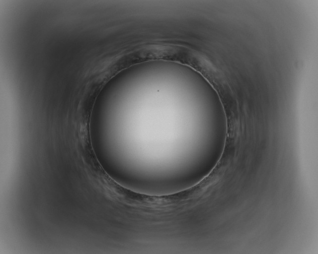 X0000113761109200909301104