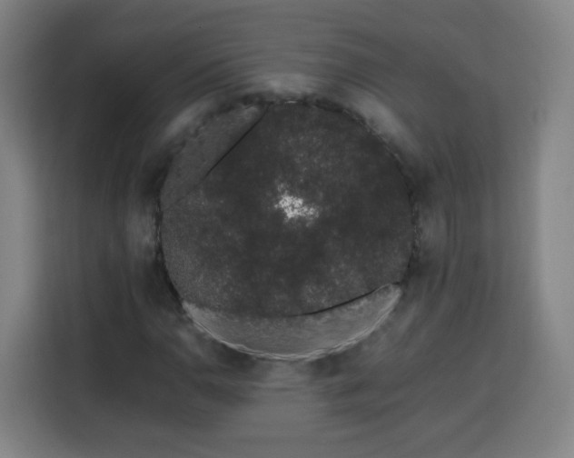 X0000113761110200909301104