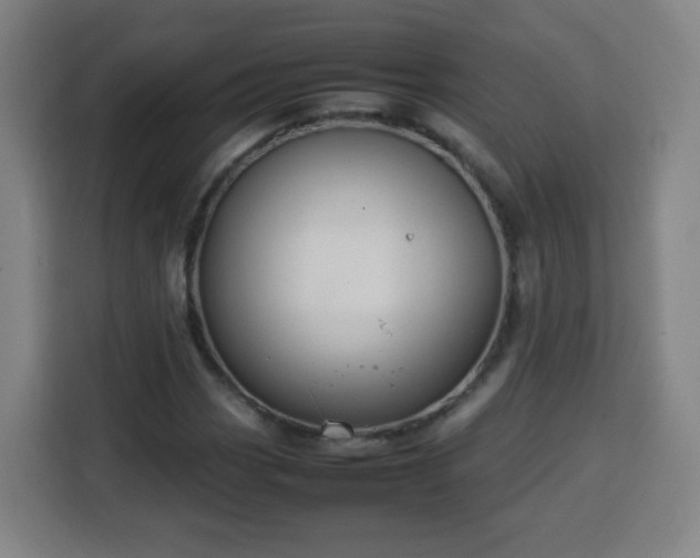 X0000113761113200909301104