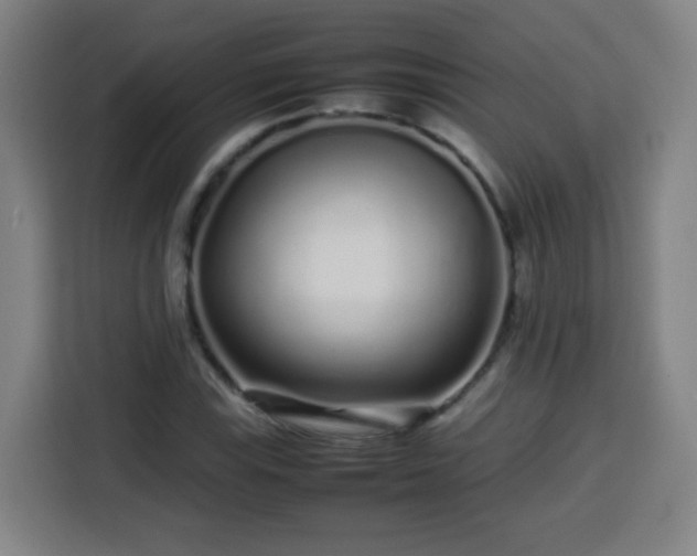 X0000113761115200909301104