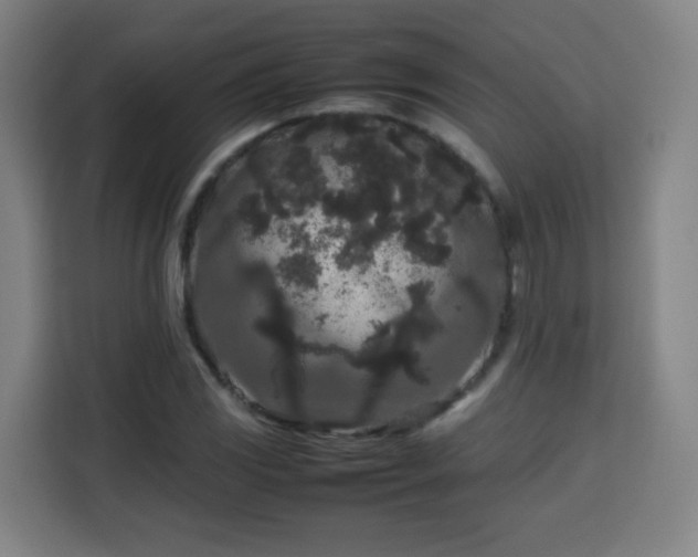 X0000113761117200909301104