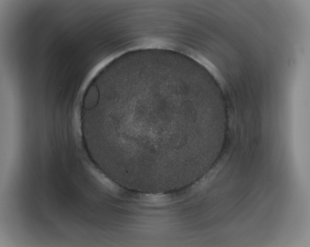 X0000113761120200909301104
