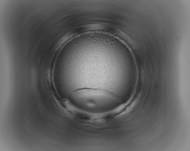 X0000113761121200909301104