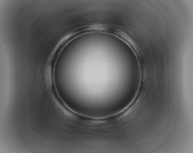 X0000113761123200909301104