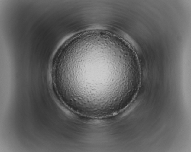 X0000113761124200909301104