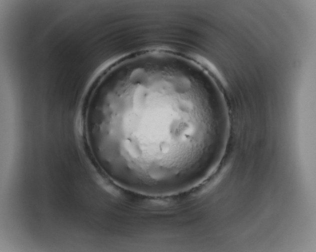 X0000113761125200909301104