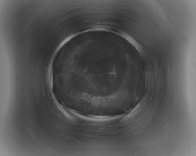 X0000113761127200909301104