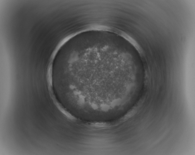 X0000113761128200909301104