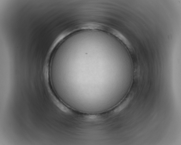X0000113761130200909301104