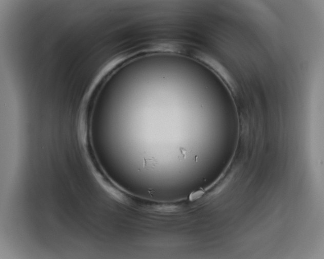 X0000113761131200909301104