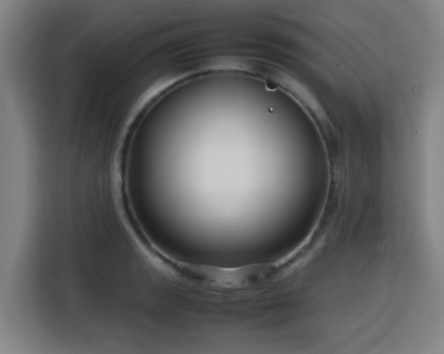 X0000113761133200909301104
