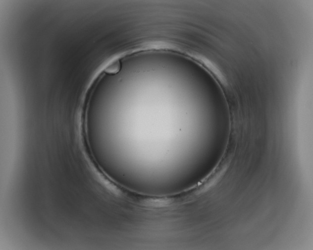X0000113761134200909301104