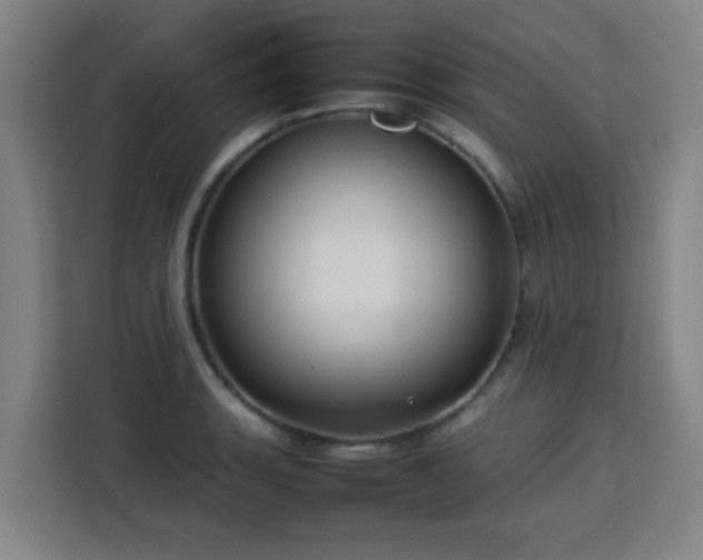 X0000113761135200909301104