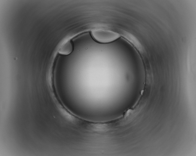 X0000113761136200909301104