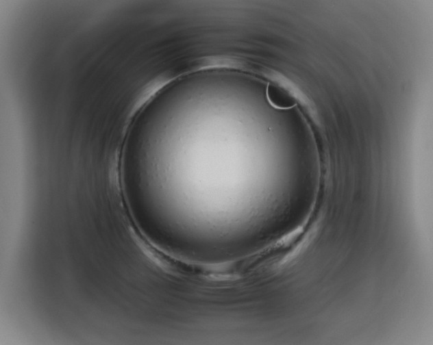 X0000113761137200909301104