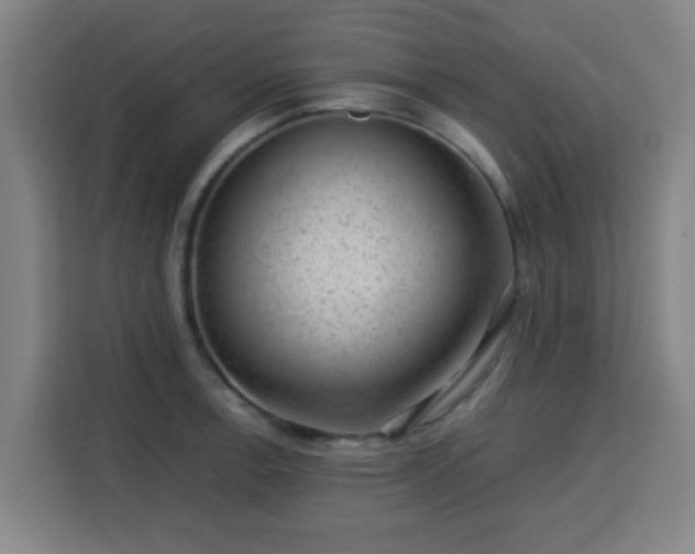 X0000113761138200909301104