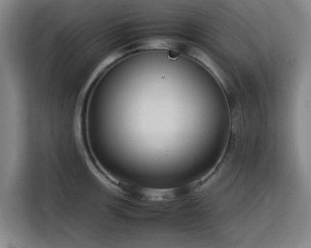 X0000113761139200909301104