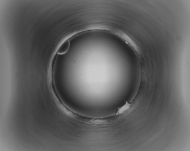 X0000113761140200909301104