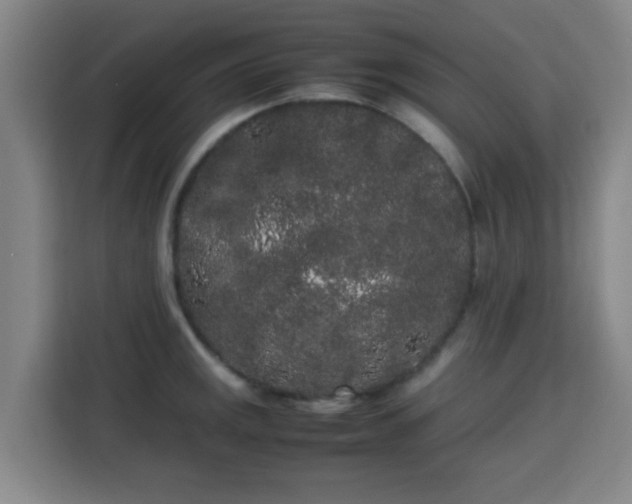X0000113761141200909301104