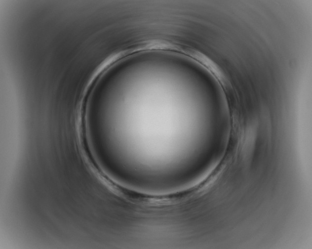 X0000113761142200909301104
